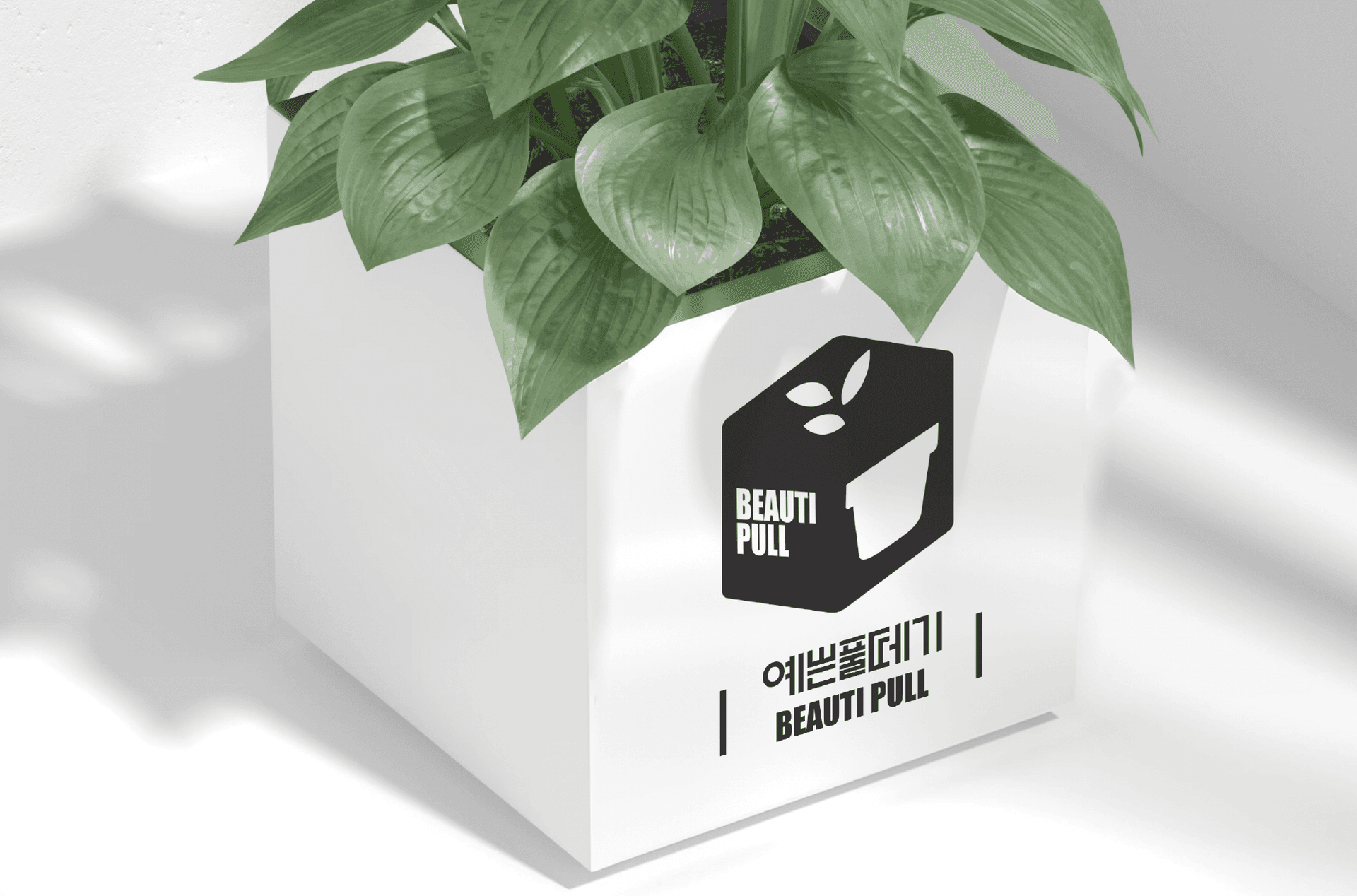 logo - 예쁜풀떼기